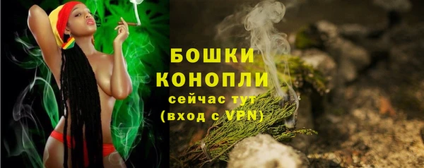 молекула духа Дмитров