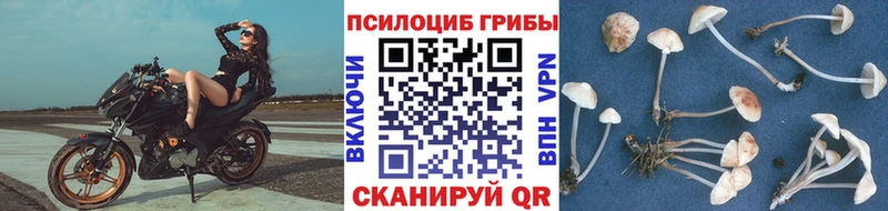Галлюциногенные грибы MAGIC MUSHROOMS  где продают наркотики  Белогорск 